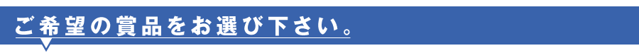 ご希望の賞品をお選び下さい。